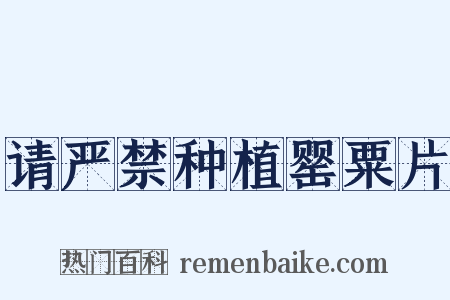 请严禁种植罂粟片是什么意思的图片